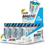 Amix Performance MagneShot Forte mango…