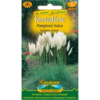 Semeno Nohel Garden Kortadérie pampová tráva 200 ks