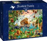 Bluebird Puzzle Noemova archa 1000 dílků