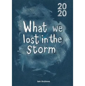 What We Lost In The Storm - Andrews, Iain