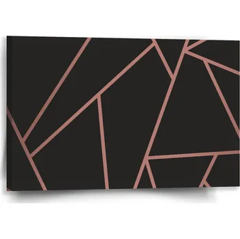 Obraz Sablio Obraz Růžové obrazce - 60x40 cm