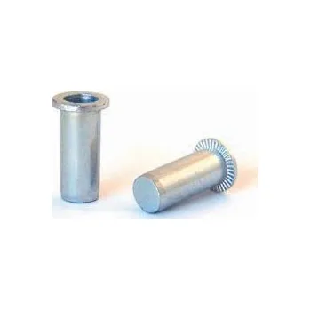 Nýt BRALO Nýtovací matice PLOCHÁ HLAVA UZAVŘENÁ hladké tělo pozink ZNB Varianta: MATICOVÝ NÝT M5 PH UZAVŘENÉ OCEL A3K