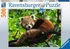 Puzzle Ravensburger Panda červená 500 dílků