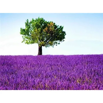 Diamantové malování Diamantové malování - Zelený strom ve fialovém lánu - č. 384 30x40 cm