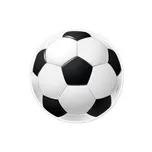 Dekora Jedlý papír 15,5 cm