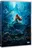 Malá mořská víla (2023), DVD