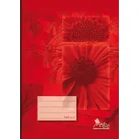 Notes Školní sešit A5/544e 40 listů…