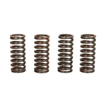Spojkové pružiny TRW Yamaha YBR 250 07-11