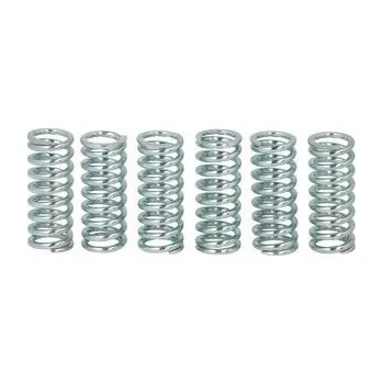 Spojkové pružiny TRW Yamaha XV 1000 TR1 81-82