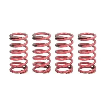 Spojkové pružiny TRW Kawasaki 250 Ninja R 07-12