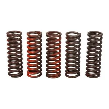 Spojkové pružiny TRW Yamaha XT 660 Z, Tenere 08-09