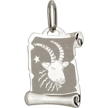 Přívěsek Přívěšek z bílého zlata znamení kozoroh ZZ0713BF + dárek zdarma