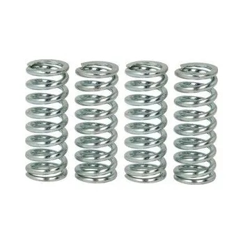 Spojkové pružiny TRW Honda CB 600 Hornet 02-06