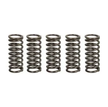 Spojkové pružiny TRW Yamaha YZ 250 F 05-07