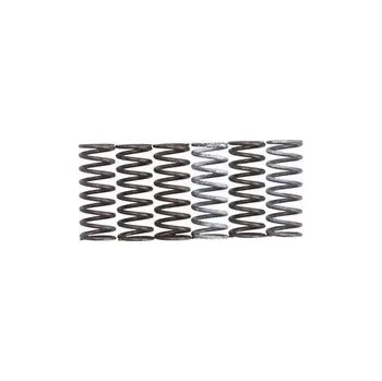 Spojkové pružiny TRW Suzuki SV 650 03-08