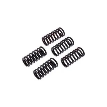 Spojkové pružiny TRW KTM SX 125 16-18