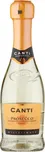 Canti Prosecco Spumante Extra Dry DOC