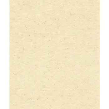 Tapeta Vliesová tapeta na zeď Rasch 520842, Factory V, velikost 10,05 x 0,53 m