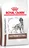 Royal Canin Veterinary Diet Dog Gastrointestinal, 2x 15 kg