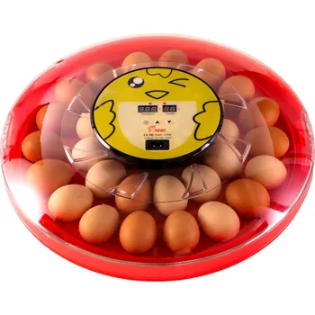 HFM Bruterei Thermo 30 inkubátor s termostatem na 30 vajec