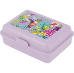 BAAGL Box na svačinu 17,8 x 12,2 x 6 cm