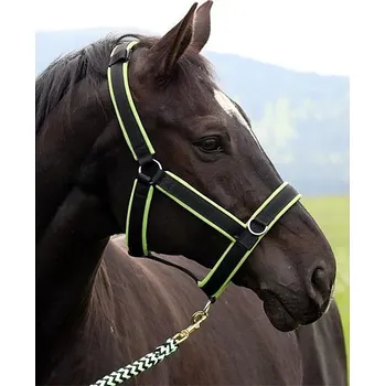 Stájová ohlávka pro koně MANMAT - hříběcí
