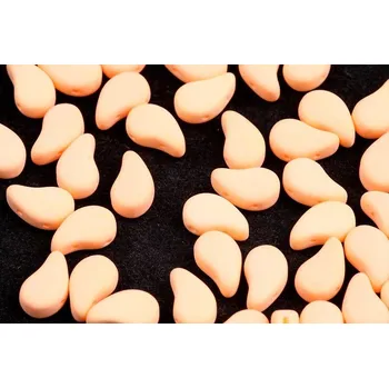 Korálek Paisley Duo - č.83