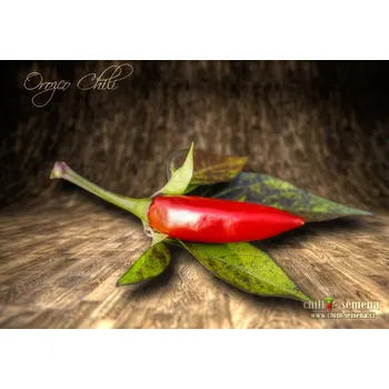 Semeno chilli-semena Orozco Chilli