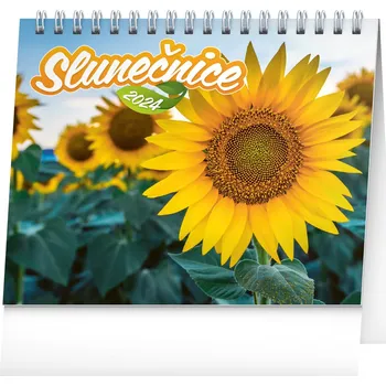 Kalendář Presco Group Stolní kalendář Slunečnice 2024