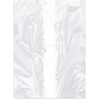 Sáček na potraviny Sáček do mrazničky (LDPE) 20 x 30 cm 2L `M` [40 ks]