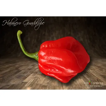 Semeno chilli-semena Habanero Guadalupe