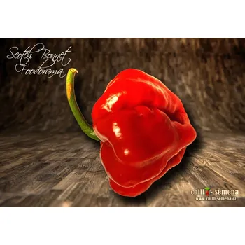 Semeno chilli-semena Scotch Bonnet Foodorama