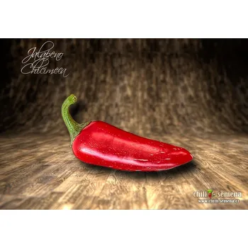 Semeno chilli-semena chilli paprička Jalapeno Chichimeca