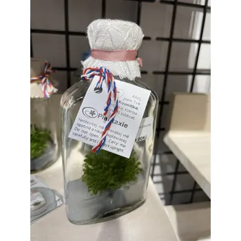 Termoska Kosmítko placatka - Plantaxie 0151168