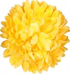 Nohel Garden Chryzantéma květ 13 cm