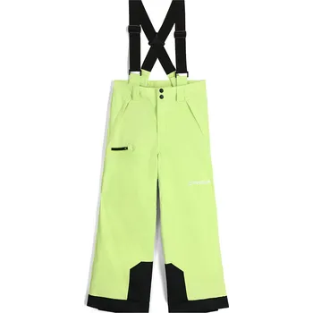 Cyklistické kalhoty Dětské kalhoty Spyder Boys Propulsion Pants Lime Ice