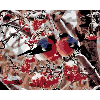 Diamondi Diamantové malování - PTÁČCI V JEŘABINÁCH Rozměr: 40x50 cm, Rámování: bez rámu a bez vypnutí plátna