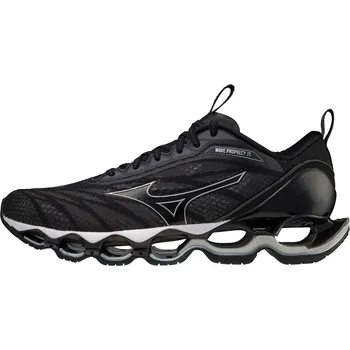 Pánská běžecká obuv Mizuno Wave Prophecy 11 J1GC228304