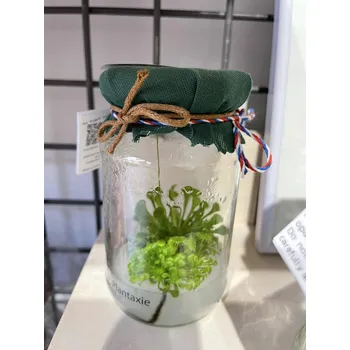 Termoska Kosmítko Terezka látkové víčko - Plantaxie 0151169