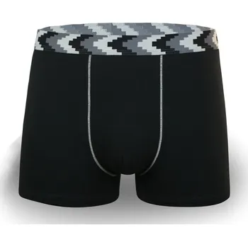 Boxerky FANNIFEN TEEN bavlněné boxerky PIXEL LG5141 - 4 ks v balení Velikost: 2XL