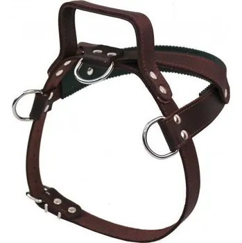 Postroj pro psa Postroj s uchem, kůže 1D