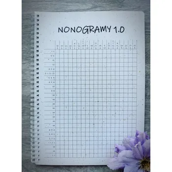 Kniha Sešit s nonogramy Papír: S příměsí kávy, Titulní strana: Raketa