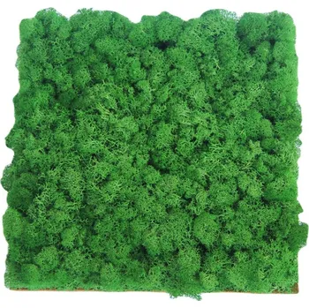 umělá květina Nástěnný panel Islandský stabilizovaný mech 30*30 cm smaragdově zelená