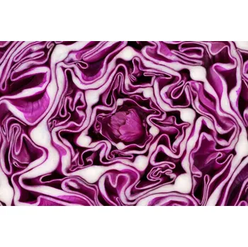 Plakát Plakát, Obraz - Red cabbage portion macro background, Dimitris66
