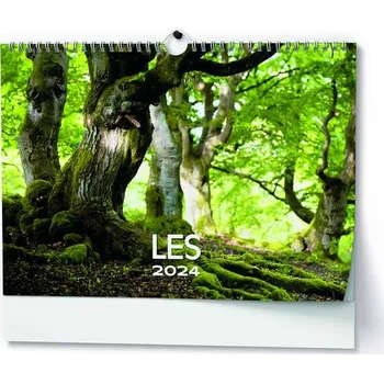 Kalendář Nástěnný kalendář A3 - Les