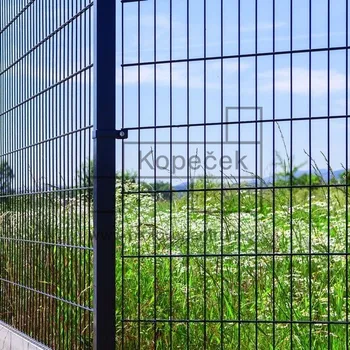 Plot Svařovaný plotový panel BRAVO 2D poplastovaný 830 mm | antracitová šedá RAL 7016 | oko 50 × 200 mm | drát 2 × 6,0 mm / 5,0 mm