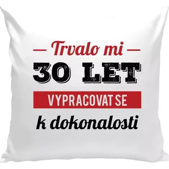 Polštář Polštář bílý 40x40 cm Trvalo mi x let vypracovat se k dokonalosti