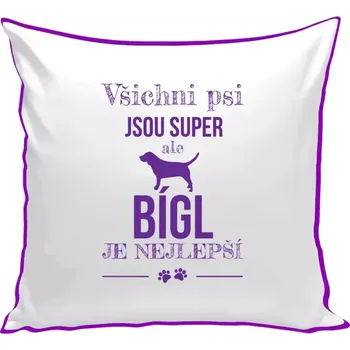 Polštář Polštář barevný 32x32 cm Bígl je nejlepší