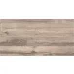 Dlažba Hikory, 300 × 600 mm, matná 4679