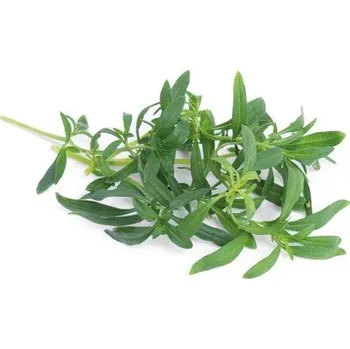 Sazenice Véritable LINGOT S BIO SEMENY SATUREJKY